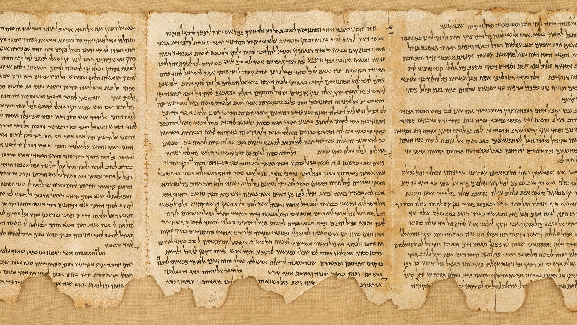 Basic Facts Regarding the Dead Sea Scroll hero image