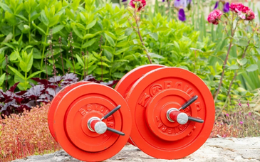 Unlock Your Full Fitness Potential with GearForFit's Adjustable Dumbbells tag image