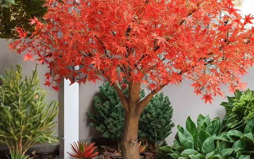 Creative Ways To Incorporate Artificial Maple Trees In Home And Office Decor post image