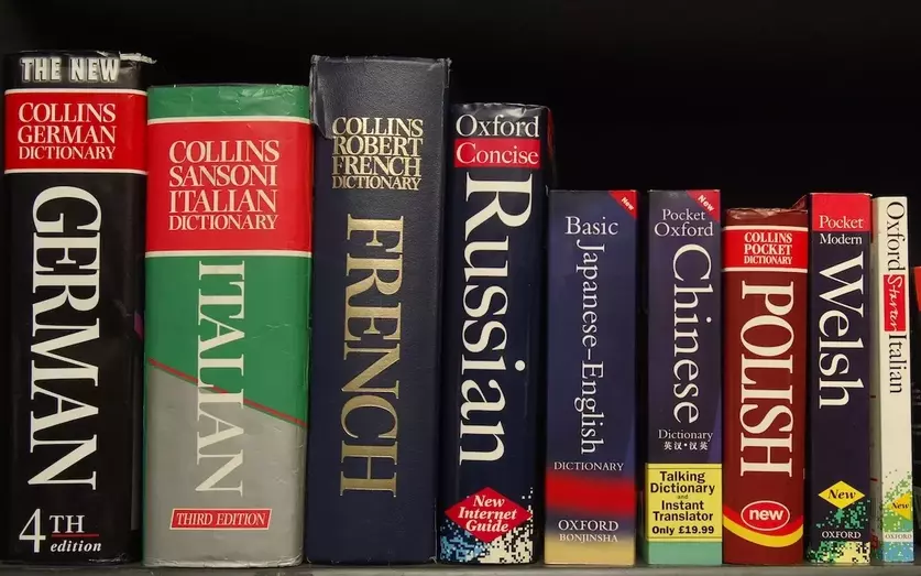 Navigating the World of Words: The Power of Online Dictionaries post image